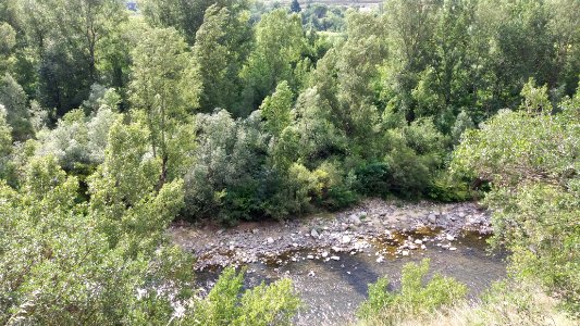 Gorges de l'Ardèche entre Lanas et Balazuc 13