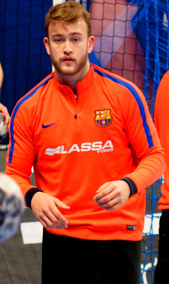Gonzalo Perez De Vargas 3 20161112