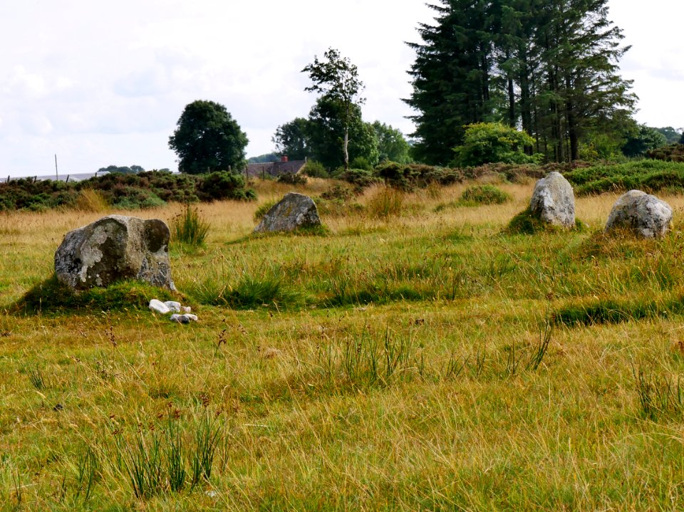 Gors Fawr Stone Circle H6b