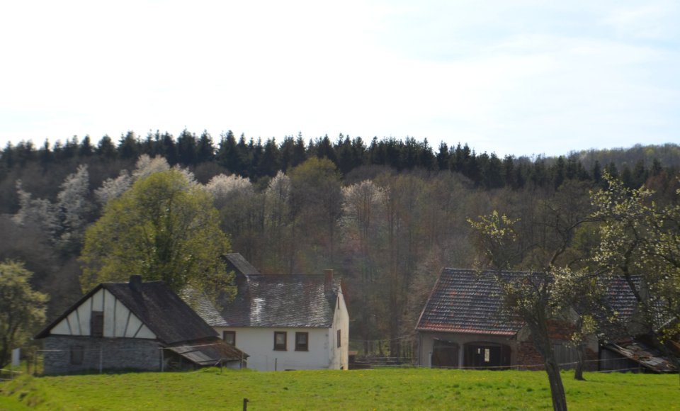 Goldhäuser Mühle