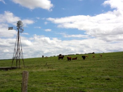 Gondrexon (M-et-M) wind wheel (02)