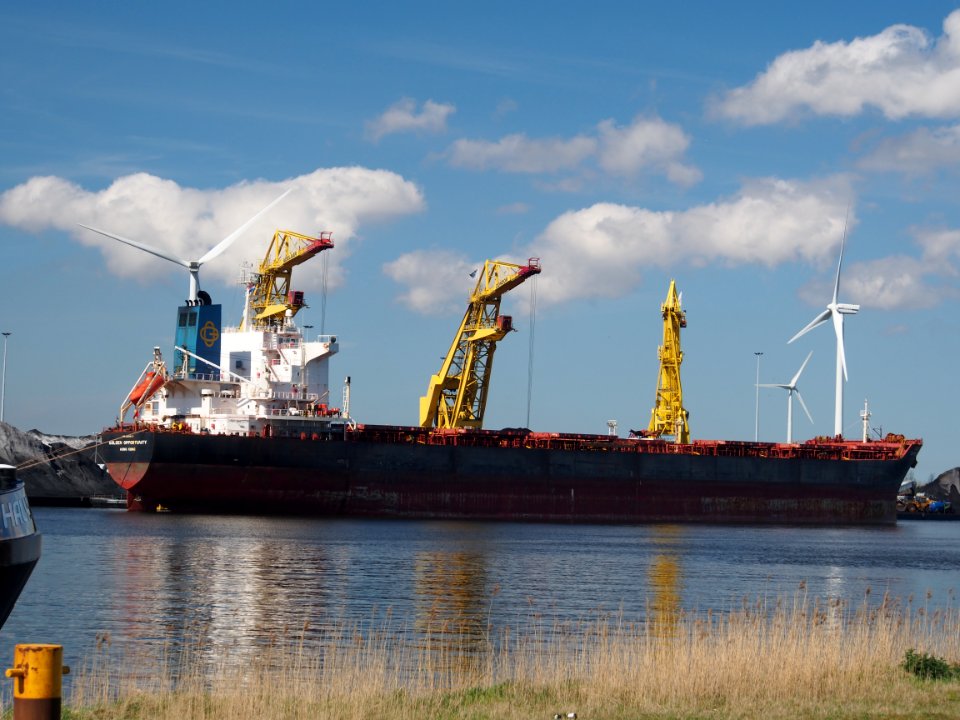 Golden Opportunity (ship, 2008) IMO 9389813 Port of Amsterdam