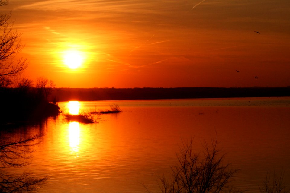 Golden Sunset (117282239)
