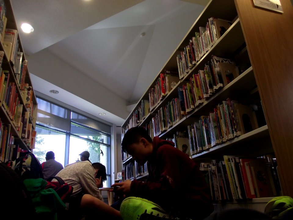 Goldhawk Park Library, May 2018