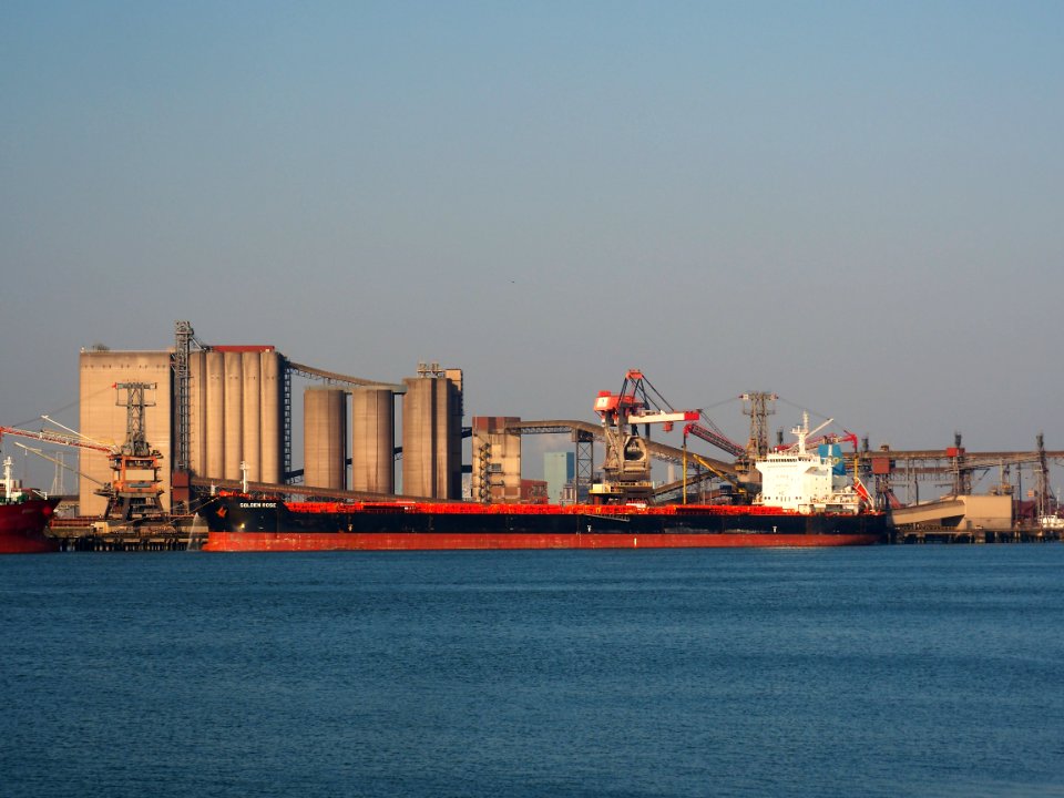 Golden Rose (ship, 2012) IMO 9590747, Port of Rotterdam pic1