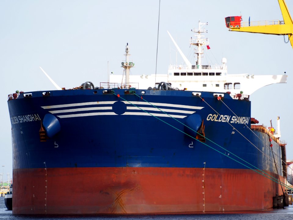 Golden Shanghai (ship, 2010), IMO 9497361, MMSI 256456000, Callsign 9HA2862 pic2