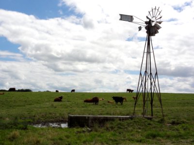 Gondrexon (M-et-M) wind wheel (01)