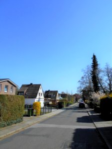 Goldrutenweg