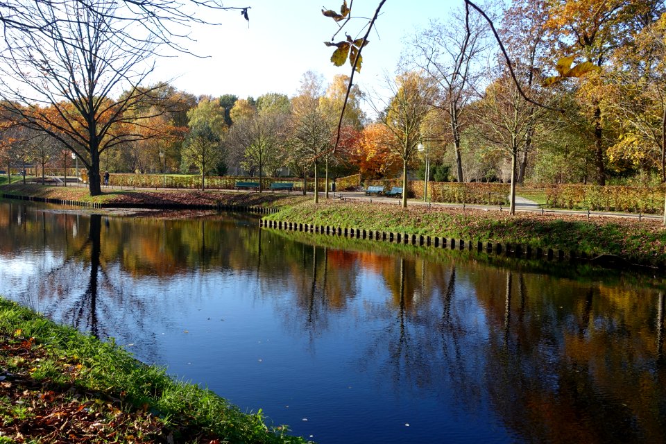 Goldfischteich (Großer Tiergarten) - Berlin, Germany - DSC09426