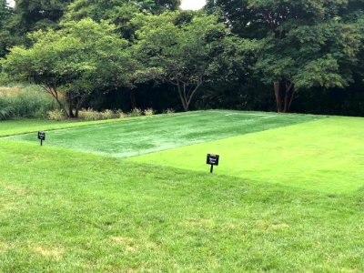 Golf Grass Exhibition in Washington, D.C