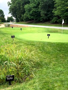 Golf Grass Exhibition, Washington, D.C