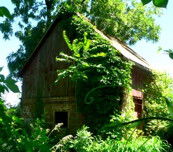 Gottfried Gustav Pitz barn from SW 1