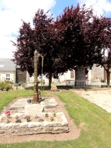 Goudelancourt-lès-Pierrepont (Aisne) pompe du village et arbre de la liberté