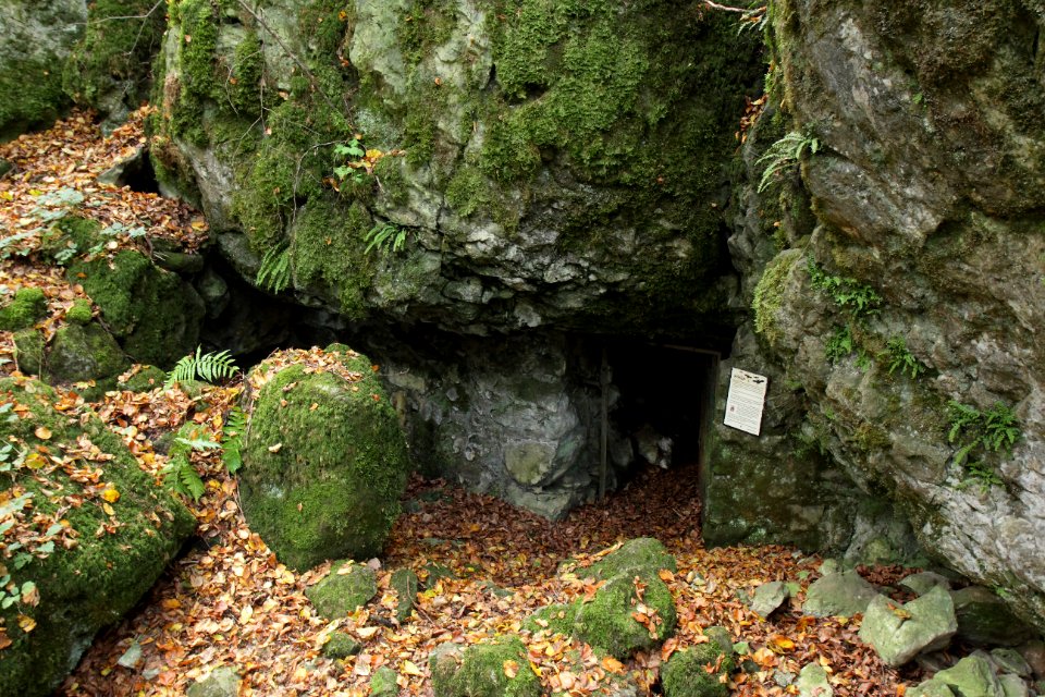 Gottesberger Höhle (F 45)01