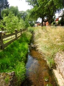 Gottesgrün, Thuringia 04