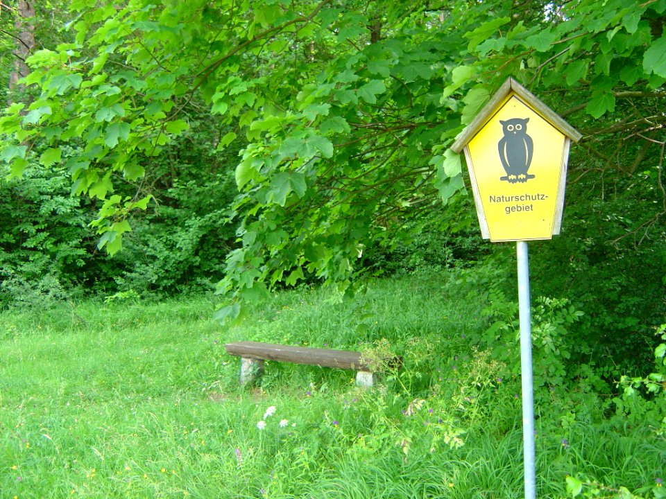 Gottesholz bei Espenfeld, Arnstadt