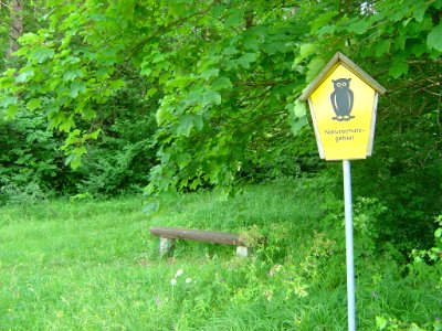 Gottesholz bei Espenfeld, Arnstadt