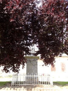 Goudelancourt-lès-Pierrepont (Aisne) monument aux morts avec sa croix
