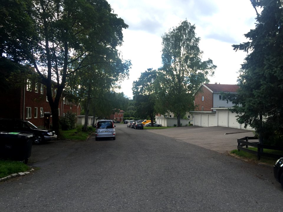 Golfstubben juli 2016
