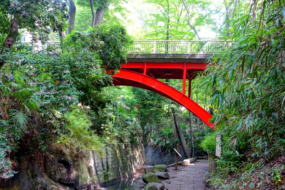 Golf-bashi - Todoroki Valley - Tokyo, Japan - DSC09616