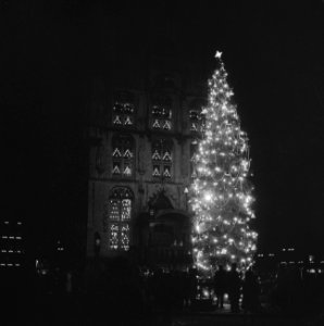 Gouda ontsteekt Noorse kerstboom voor het stadhuis ivm het komende kerstfeest, Bestanddeelnr 911-8814