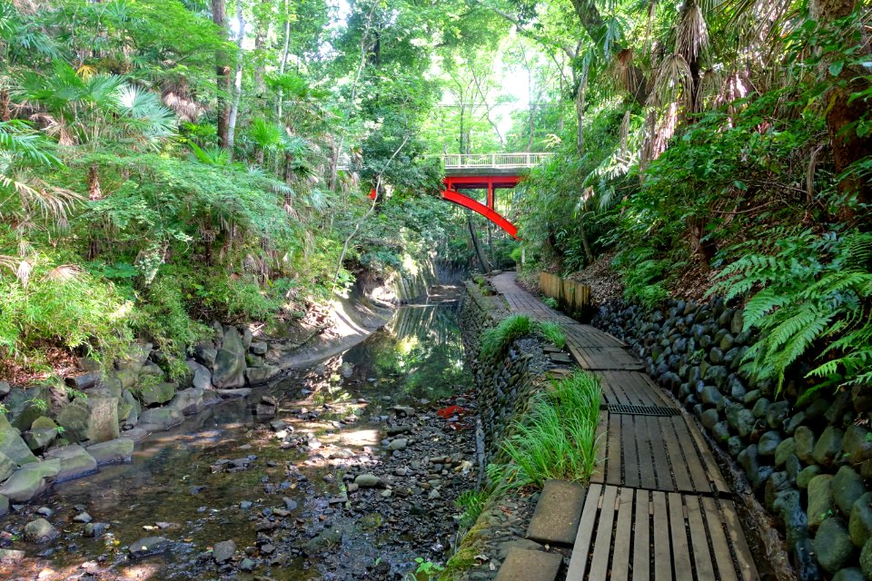 Golf-bashi - Todoroki Valley - Tokyo, Japan - DSC09444