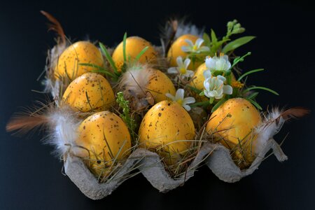 Egg spring decoration photo