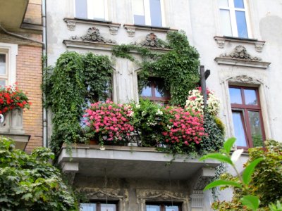 GLIWICE, AB. 019