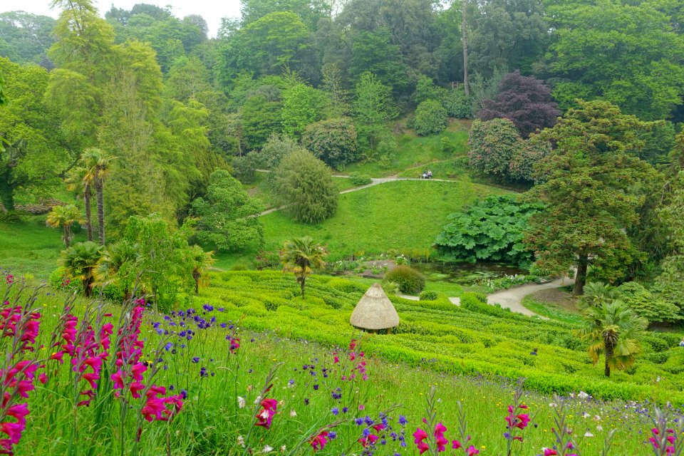 Glendurgan Garden - Cornwall, England - DSC01976