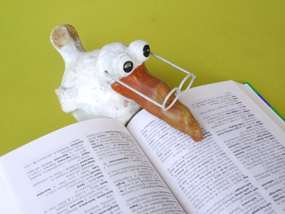 Study education read