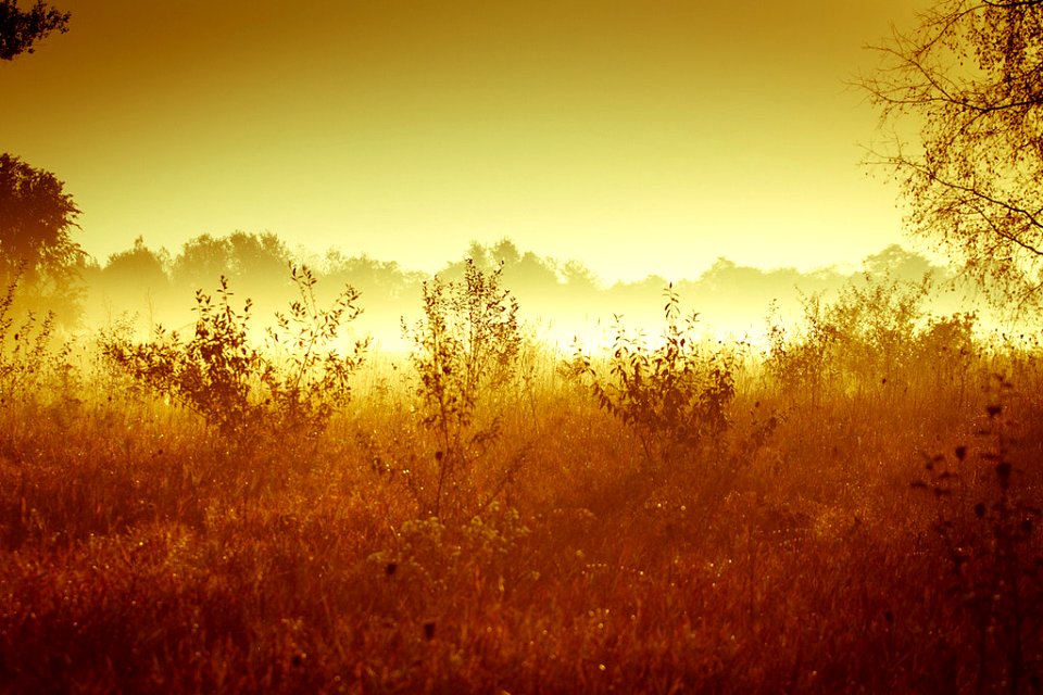 Golden Hour (3357079)
