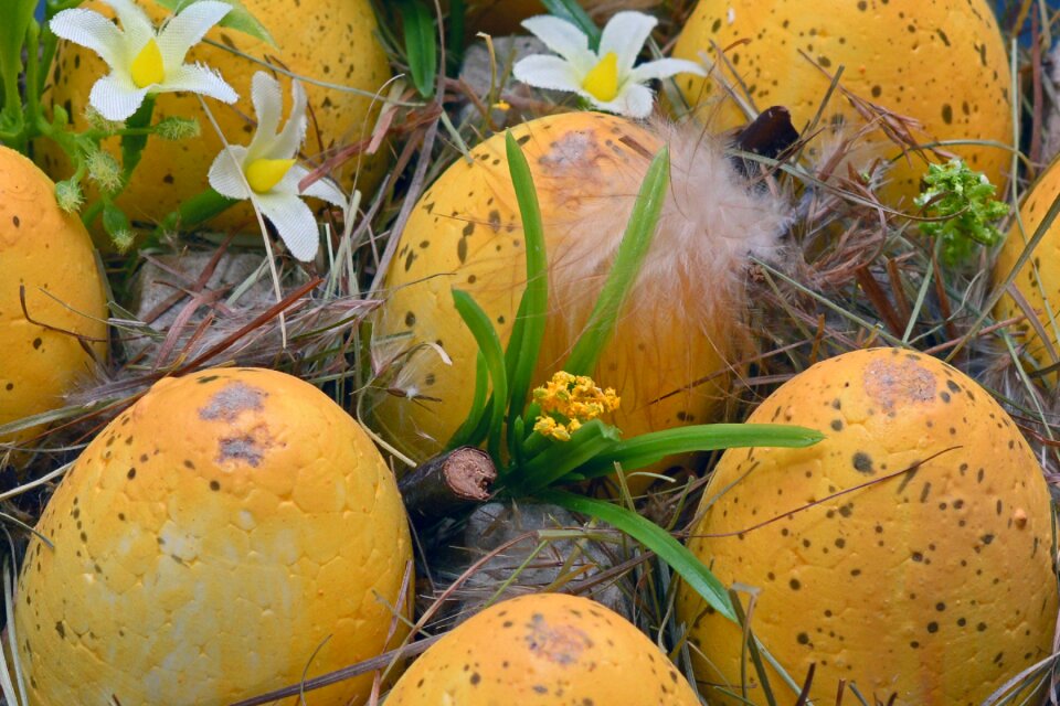 Egg spring decoration
