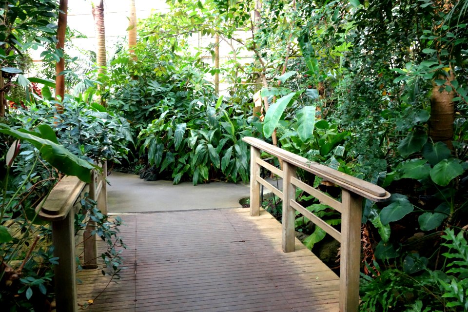 Glass house view - Brooklyn Botanic Garden - Brooklyn, NY - DSC08135