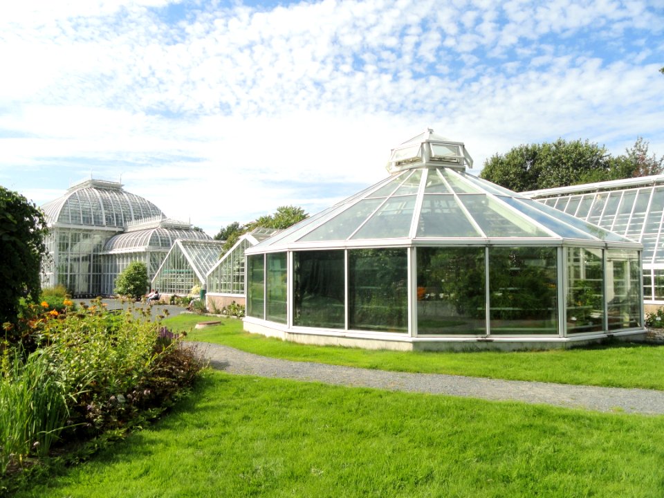 Glass houses - Botanical Garden in Kaisaniemi - DSC03743