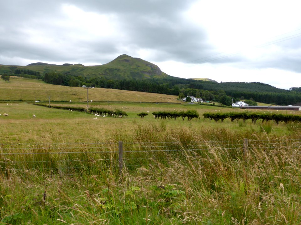 Glengoyne-Distillery-4