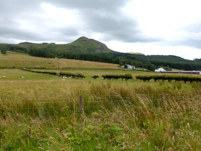 Glengoyne-Distillery-4