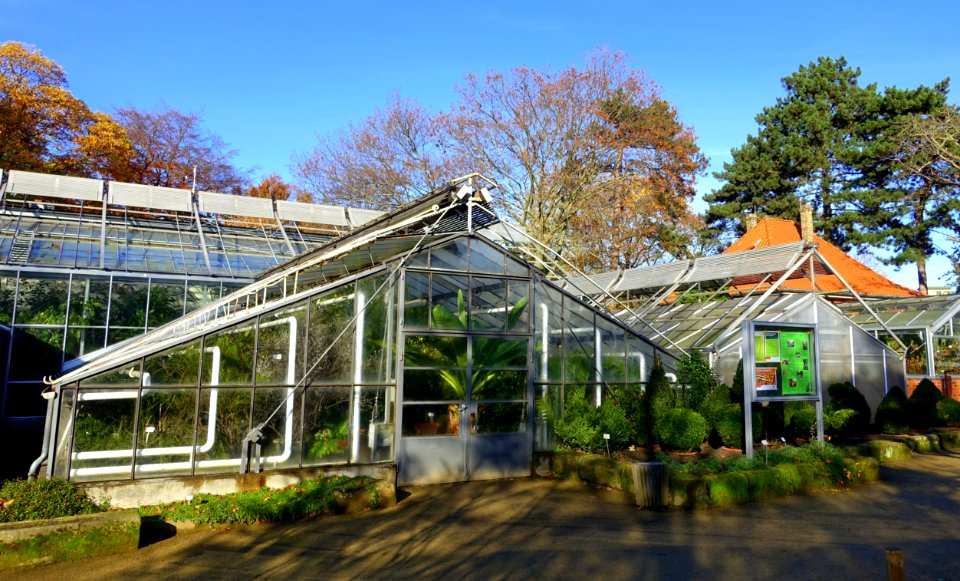 Glass houses, Botanischer Garten Braunschweig - Braunschweig, Germany - DSC04323