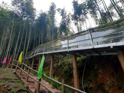 Glass slipway in Longshan National Forest Park, Picture4