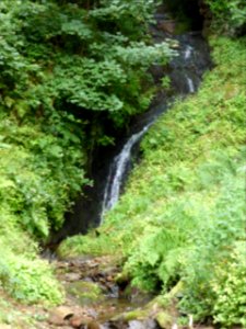 Glengoyne-Distillery-Waterfall-1