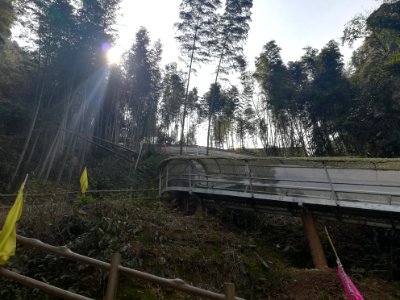 Glass slipway in Longshan National Forest Park, Picture5