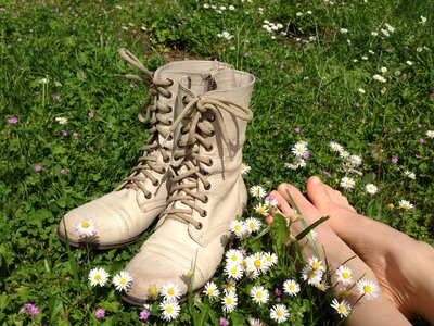 Daisy summer spring