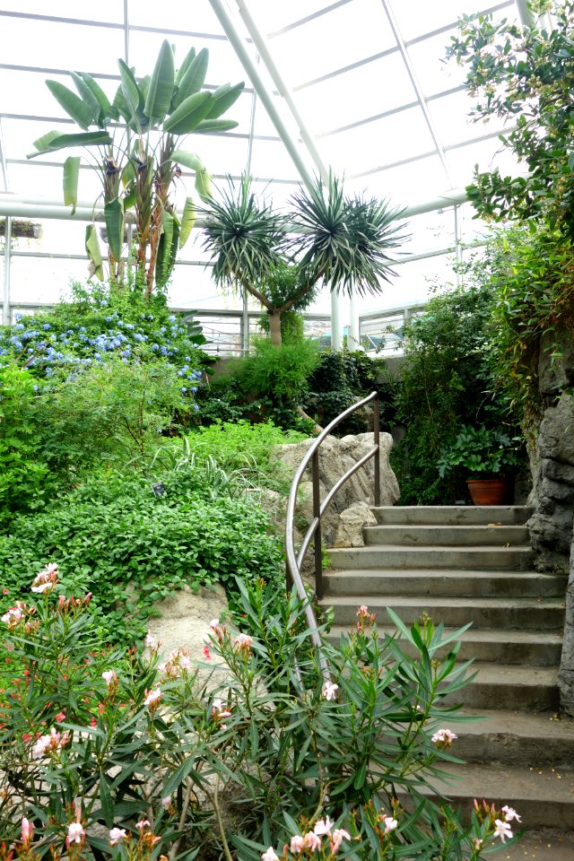 Glass house view - Brooklyn Botanic Garden - Brooklyn, NY - DSC08178