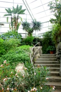 Glass house view - Brooklyn Botanic Garden - Brooklyn, NY - DSC08178