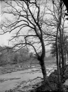 Glanwye fishing rocks (1294574)