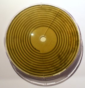 Glass phonograph disk with photographic emulsion, Alexander Graham Bell, made November 17, 1885 - National Museum of American History - DSC00110