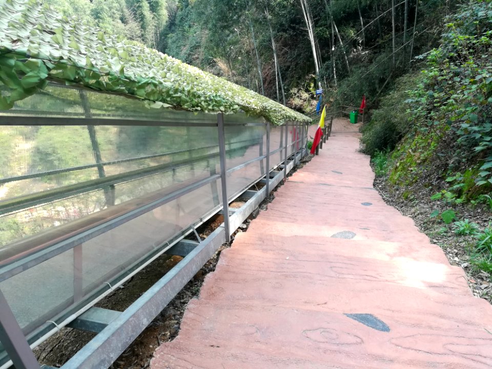 Glass slipway in Longshan National Forest Park, Picture3