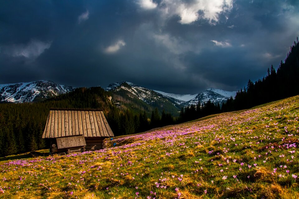 Dark clouds clouds flowers