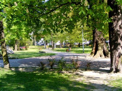 GLIWICE, AB. 113