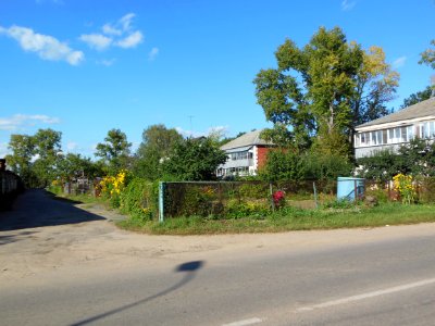Glebovskoe (Istrinsky District) 5