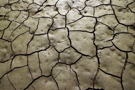 Cracks clay footprints